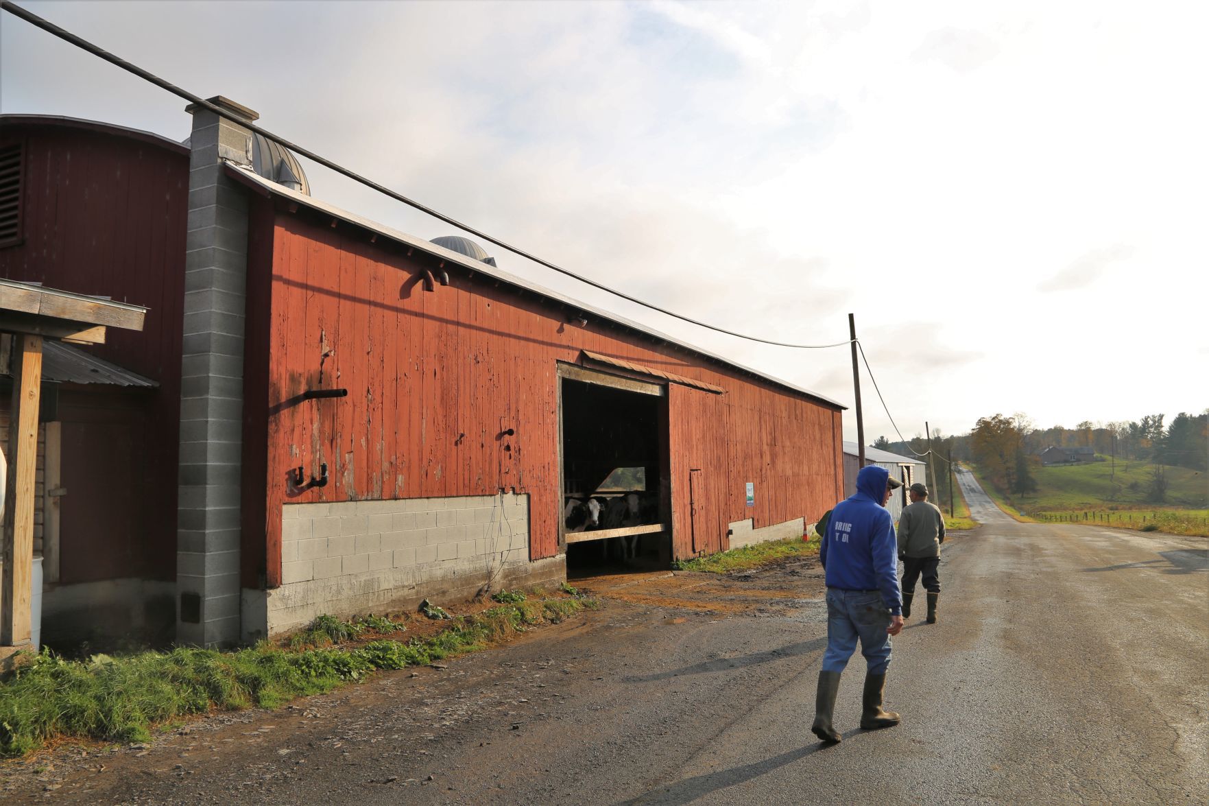 Hollister Brothers Farm